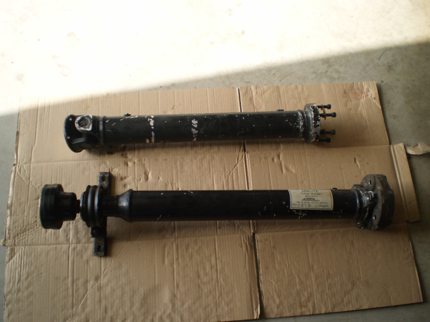 PB240229.JPG